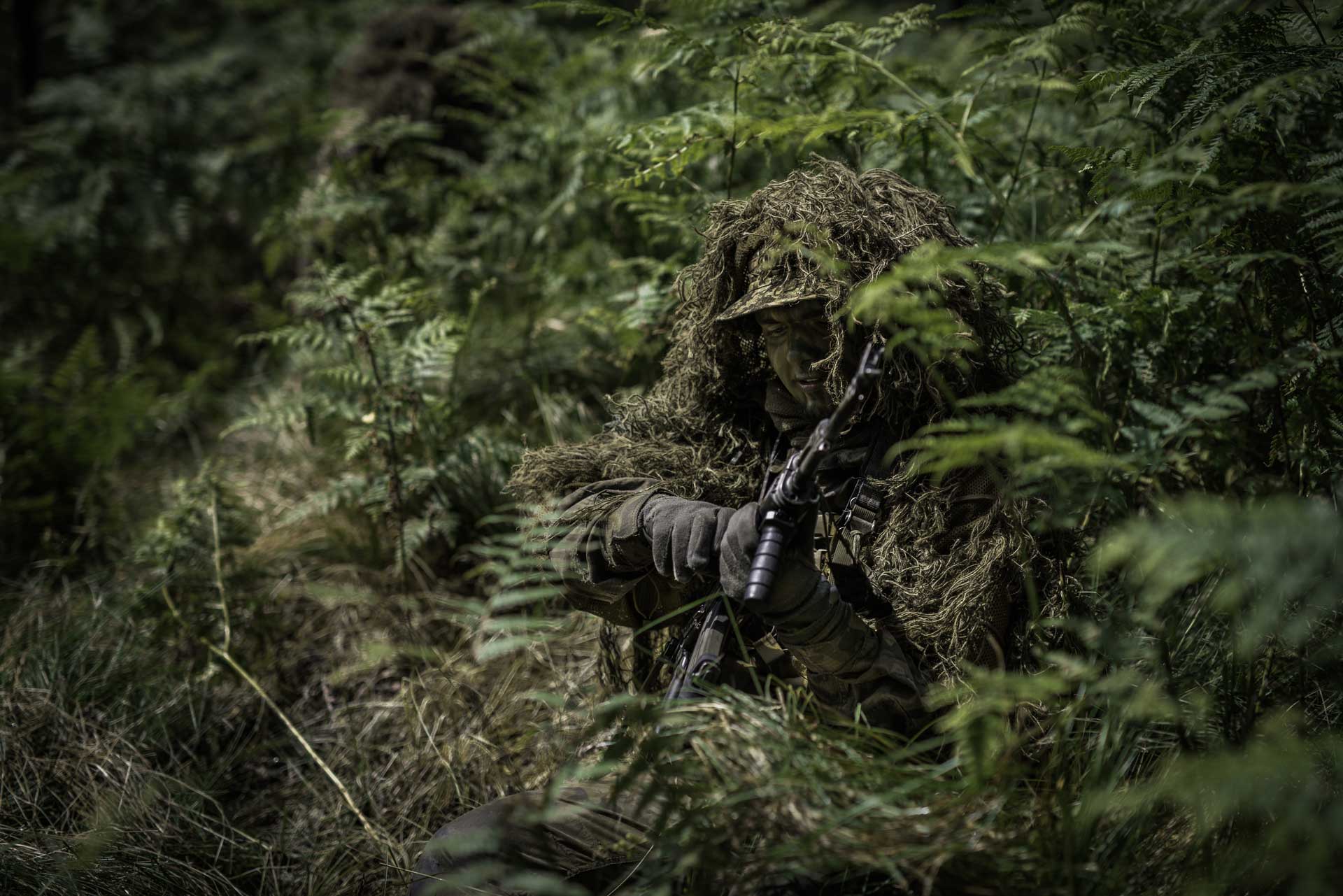 defence security and fire systems