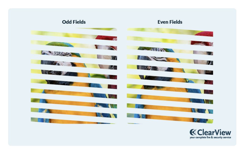 Vertical Sync Pulse Odd and Even Fields Diagram