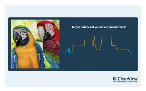 Horizontal Sync Pulse Diagram